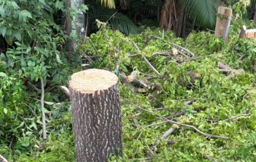 Limpeza de terreno a mando de terceiros é relatada após abordagem em APP de Manaus