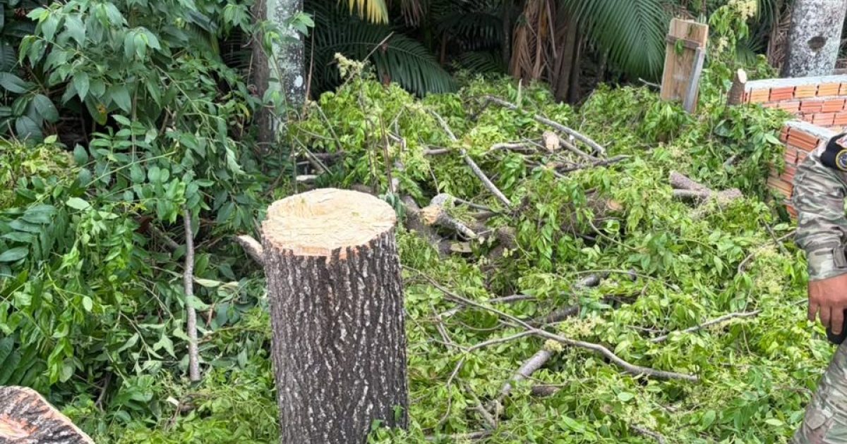 Limpeza de terreno a mando de terceiros é relatada após abordagem em APP de Manaus