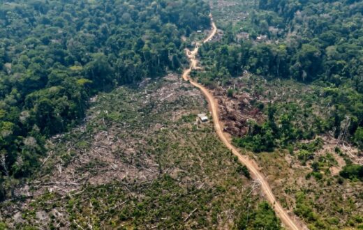 Balanço da Tamoiotatá 6 detalha infrações e embargos em seis municípios do Amazonas