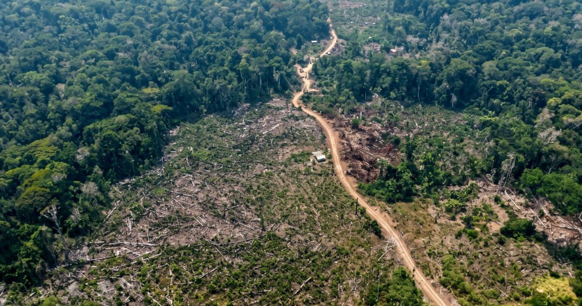 Balanço da Tamoiotatá 6 detalha infrações e embargos em seis municípios do Amazonas