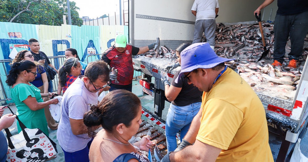 Moradores de Manaus citam diferentes formas de preparo após receberem pescado